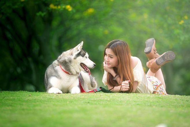 业链分析：现状、痛点、需求、趋势CQ9电子游戏网站宠物食品行业产
