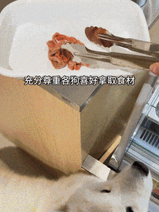 辣烫25一斤全是真肉上海狗有福了！CQ9电子破防了！上海惊现狗狗麻(图2)