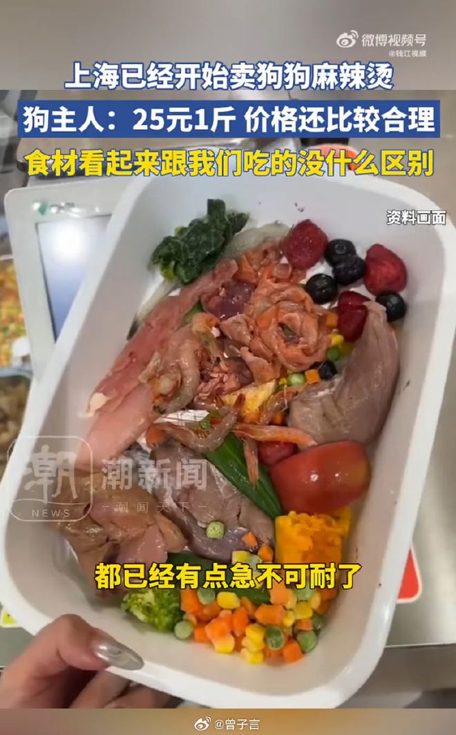 辣烫25一斤全是真肉上海狗有福了！CQ9电子破防了！上海惊现狗狗麻(图7)
