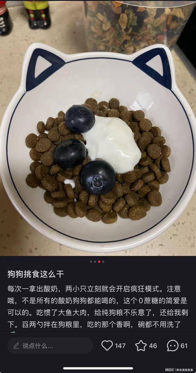 配方”撬动萌宠经济与母婴信任双赛道CQ9电子专用平台简爱酸奶以“纯净(图1)